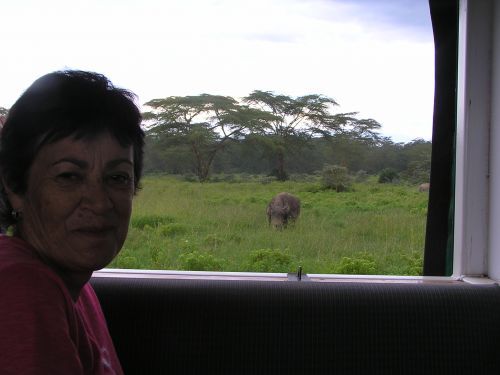 There's a rhino outside my window! ©Venus Adventures