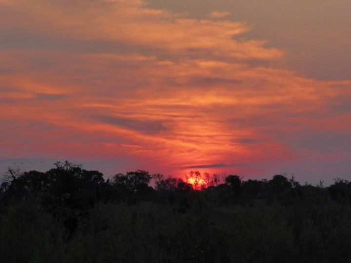 Sunset over the Okavango Delta, Africa ©Venus Adventures