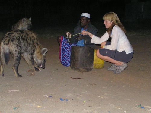 Feeding wild hyenas with "Hyena Man" in Harar ©Venus Adventures Ltd