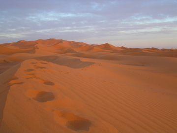 Erg Chebbi dunes, Saharan sunset ©Venus Adventures Ltd