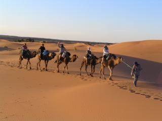 Heading for sundowner gins in the Sahara... ©Venus Adventures Ltd