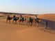 Heading for sundowner gins in the Sahara... ©Venus Adventures