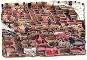 Fez Tanneries, Morocco